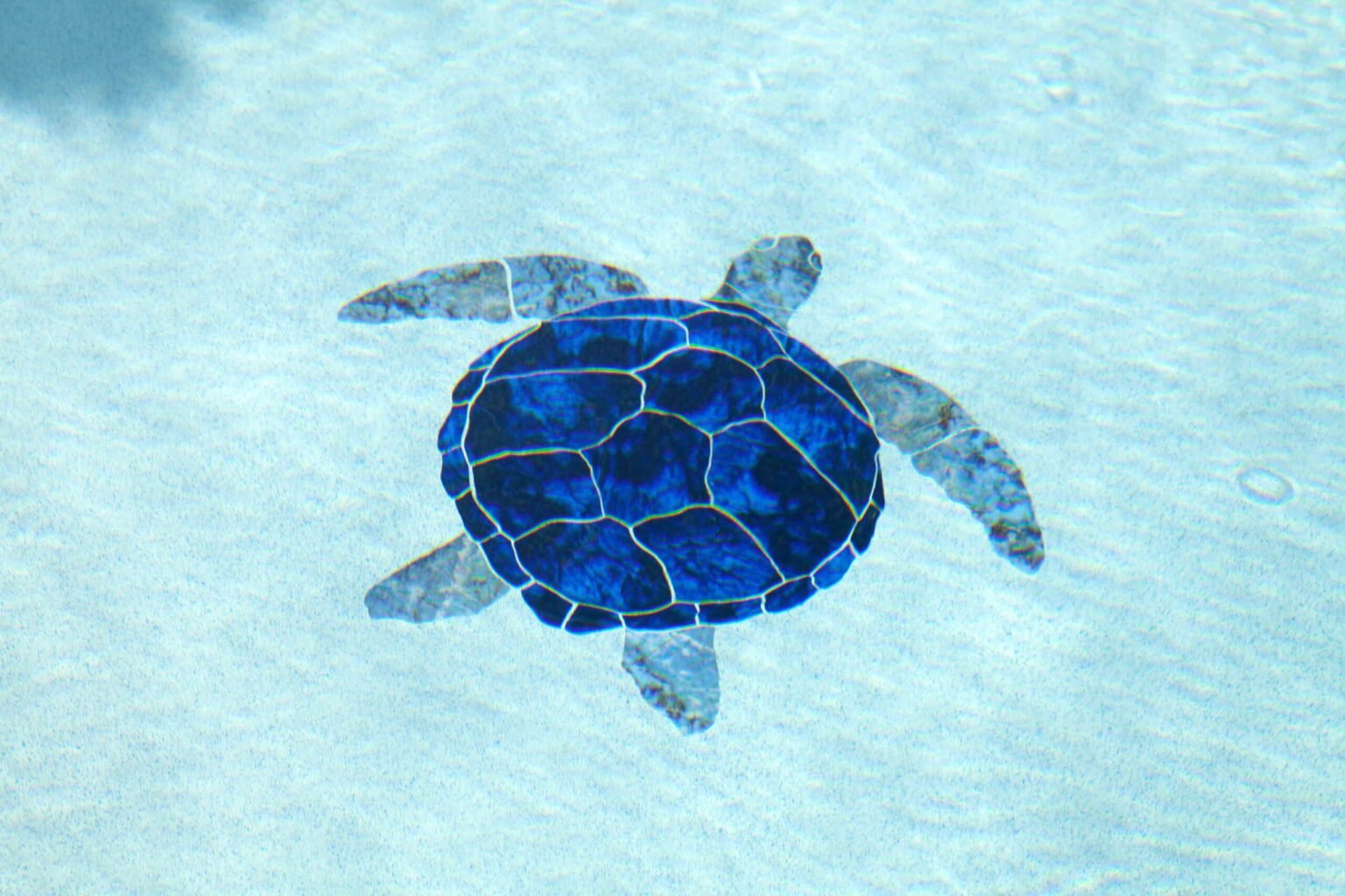 Close-up underwater view of a custom sea turtle mosaic inlay on a light-colored pool floor, rendered in deep blue and gray tile with white grout lines visible through clear water.